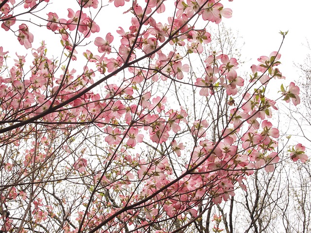  "5월 연휴 시작! 제철을 맞은 음식" 알아보기 [노원요가 중계동플라잉요가 중계체형교정]