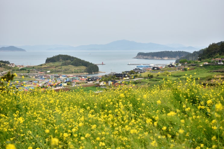  5월 효도여행은 역시 청산도 #1 서편제 촬영지