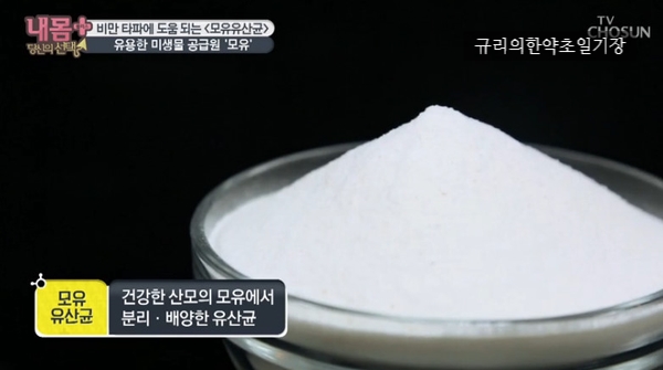  체지방 감소 기능성 인정받은 셀티바 프로바이오틱 다이어트 모유유산균
