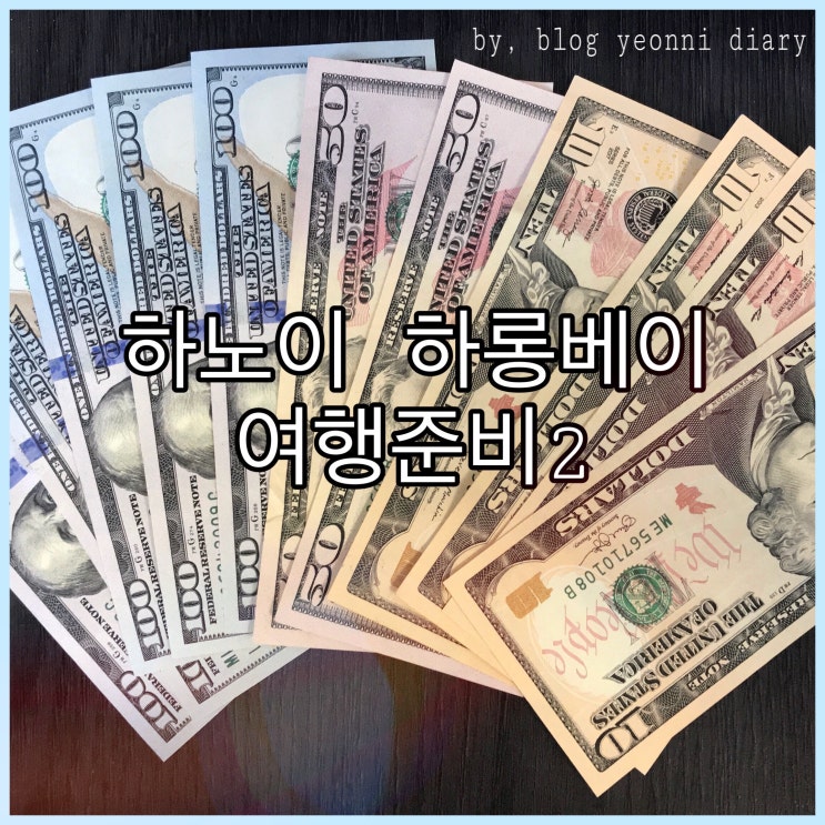  [베트남] 3박5일 하노이와 하롱베이 여행 준비 2 (여행자보험, 환전, sen spa 예약)