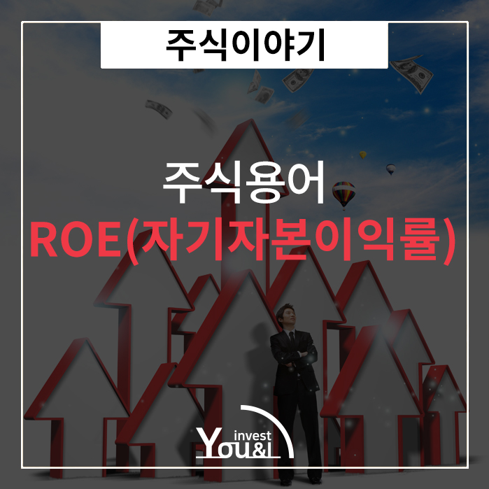  ROE(자기자본이익률)