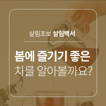  봄의 기운을 흠뻑 느낄 수 있는 차의 종류를 알아볼까요?