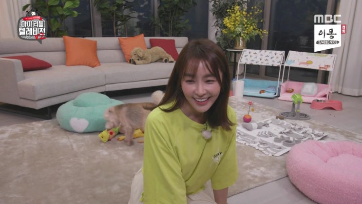  마리텔 정유미 패션 마이 리틀 텔레비전 시즌2 옷 #럭키슈에뜨 티셔츠