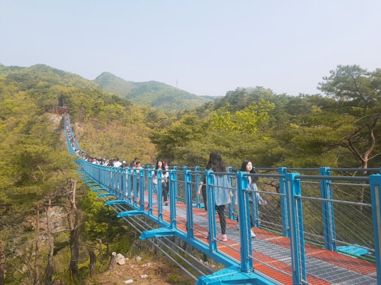  서울근교 강원도 원주 가볼만한곳, 원주 소금산 출렁다리 건너보기(야간개장, 원주사랑상품권)