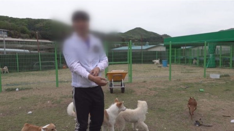 궁금한 이야기 Y [447회] 동물 구조 영웅 안동민, 그가 목숨 걸고 개를 구하는 진짜 이유는?