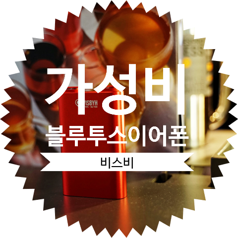  가성비 블루투스 이어폰 비스비 TWS-B2100 개봉기 및 사용후기