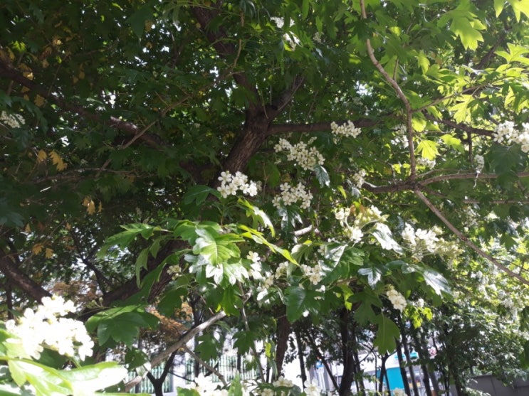  오늘도 바뿐체?!ㅎ