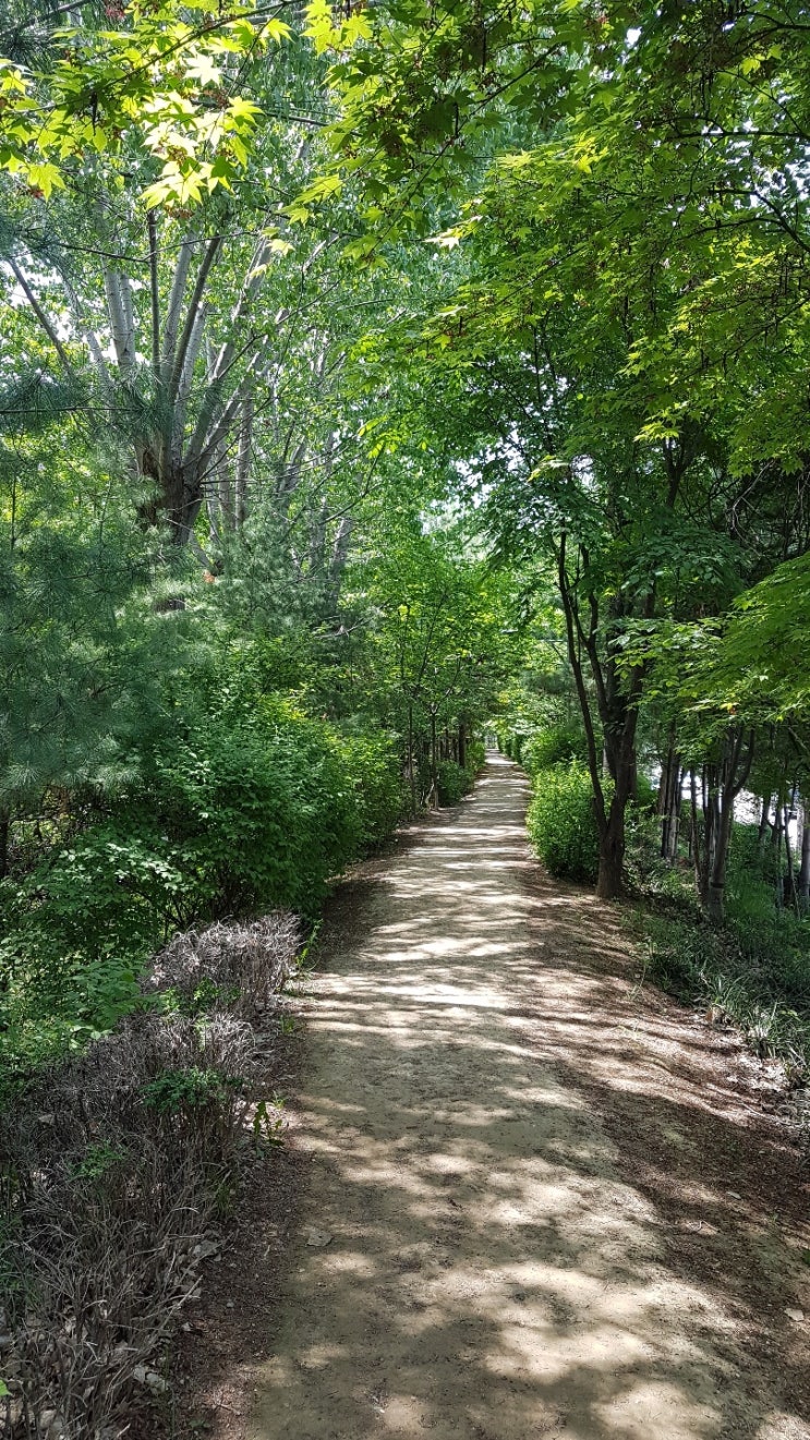  이사카 코타로,  『남은 날은 전부 휴가』