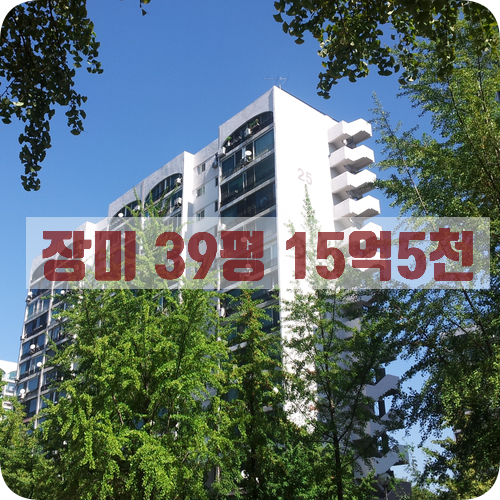  잠실장미아파트재건축 투자..,39평,매매가15억5천, 장미2차 25동 5층...
