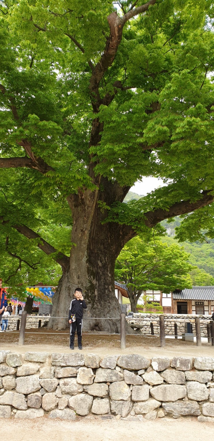  5월1일2019ㅡ내소사 변산대명