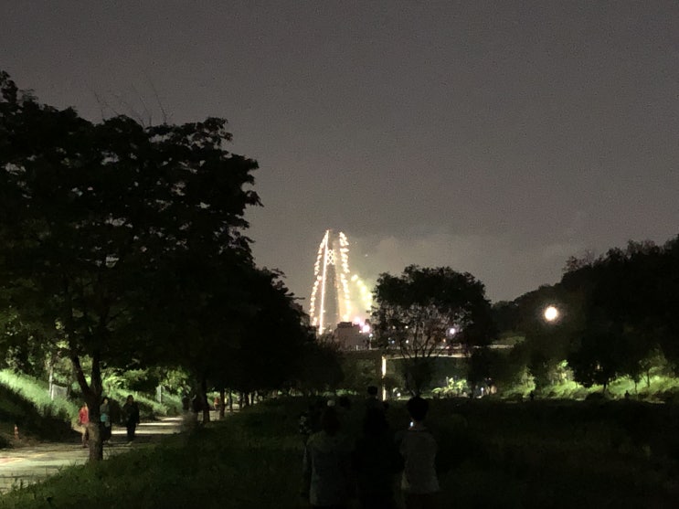  양재천에서 바라본 롯데타워 불꽃놀이 :)