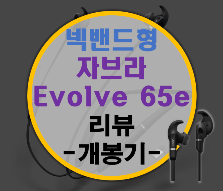 뛰어난 통화품질 자브라 Jabra Evolve 65e 리뷰 -개봉기-