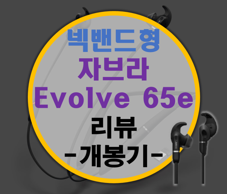 뛰어난 통화품질 자브라 Jabra Evolve 65e 리뷰 -개봉기- 뛰어난 통화품질 자브라 Jabra Evolve 65e 리뷰 -개봉기-