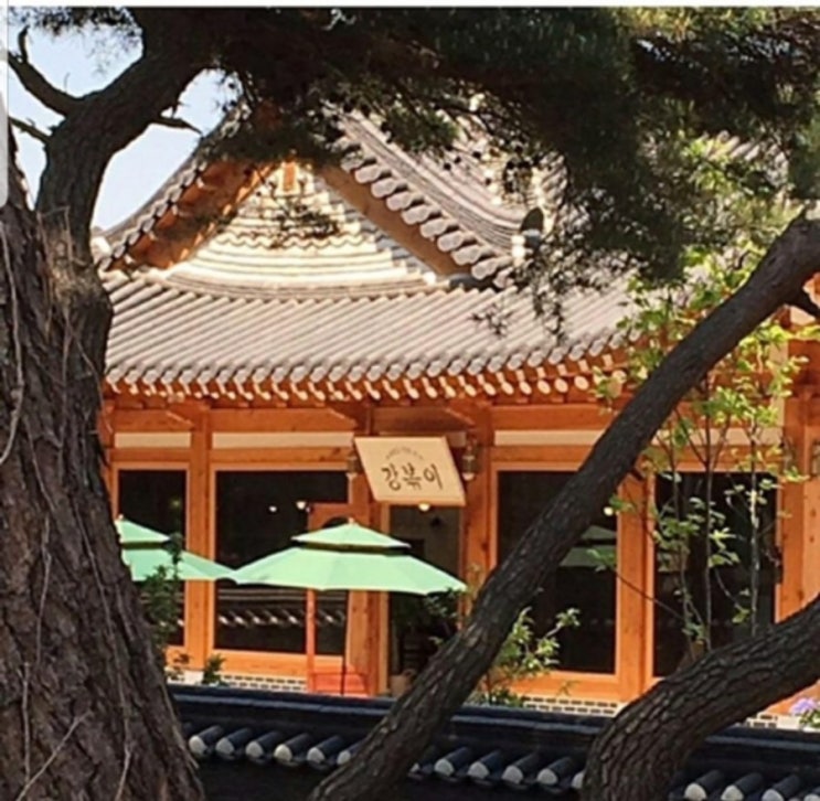  경주/경주통일전/경주화랑교육원/경주강식당/강식당2/강볶이/통일전/통일전은행나무길/화랑교육원/강식당/경주한옥카페/경주카페추천/경주맛집/경주은행나무길/강식당촬영