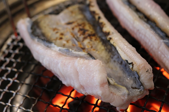 맛있어! 압구정역 코끼리상가 자연산 바다장어 숯불장어구이 전문점 장어맛집 회식장소 힘이여 솟아라 보양음식 지존, 해왕장어 Roasted  Grill Eel 아나고 붕장어