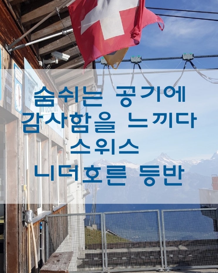  [서유럽여행] 아름다운 풍광과 깨끗한 공기를 맘껏!감사함이 저절로 느껴지는 스위스 니더호른 등반