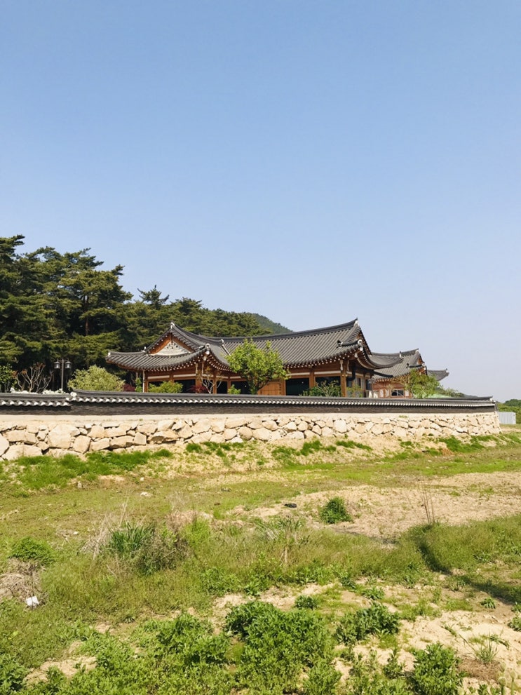  [경주 여행] 아니 강식당2 오늘부터 경주에서 촬영이라길래...