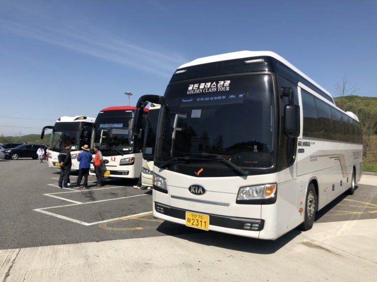  일산예식버스*용평리조트예식후기*