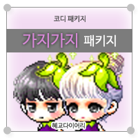  [KMS 캐시] 메이플스토리 코디 패키지 : 가지가지 패키지