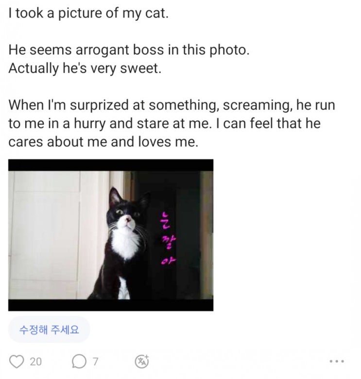  헬로톡