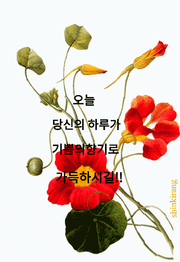  어린이날 제주 곳곳 축제장으로 변신