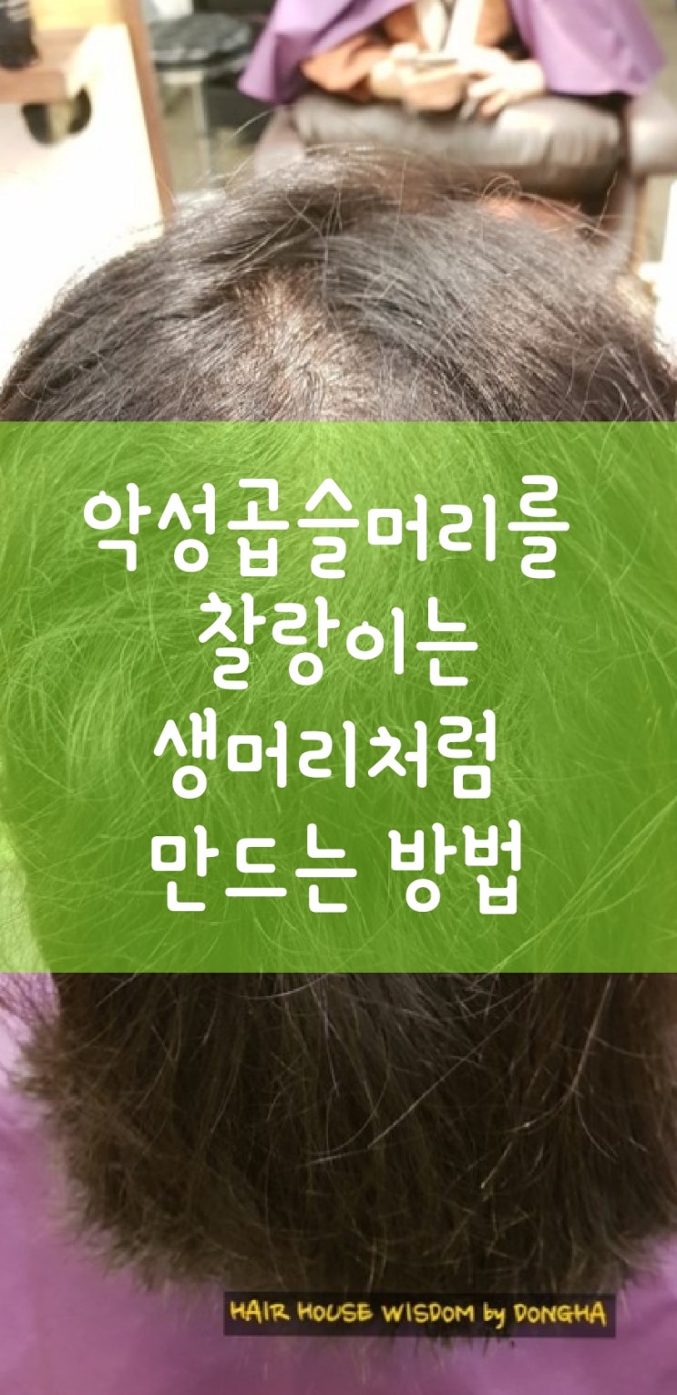  여자 악성곱슬머리 아이롱C컬펌-위즈덤헤어 동하원장시술