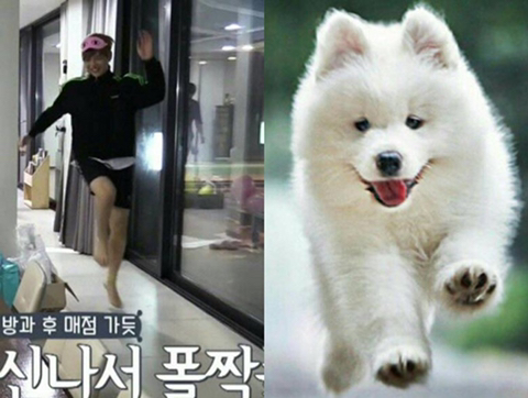  강다니엘항상응원해영원히 강다니엘팬