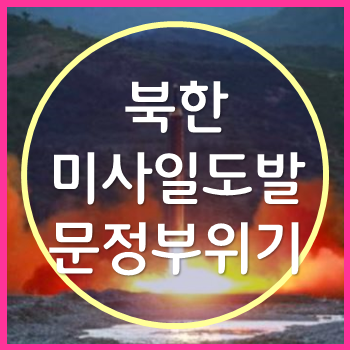  북한 미사일 도발 문재인 정부의 위기 대처