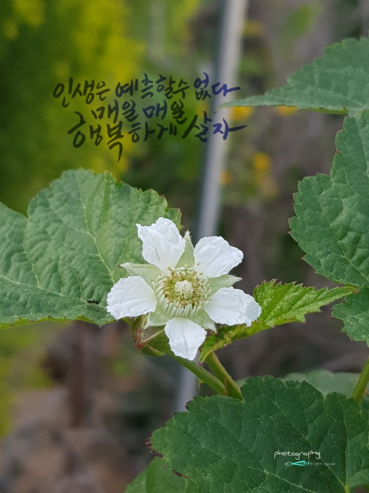 5월 4일