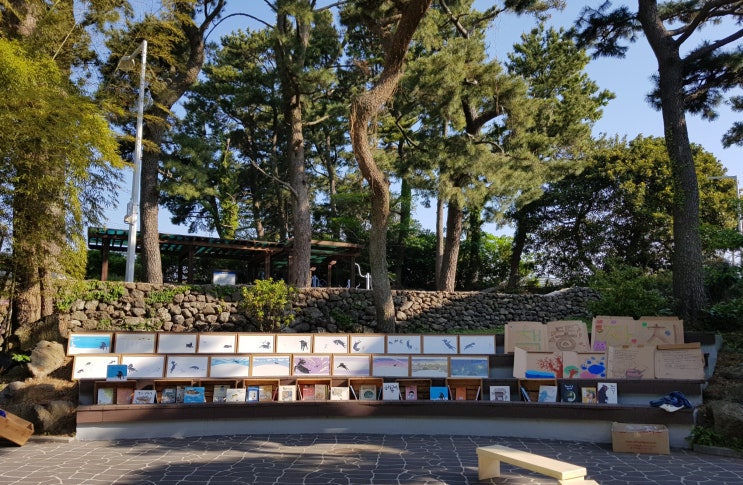  제주 73day - 학교축제 (뱃도새기, 이중섭거리, 달테이블 토평점)