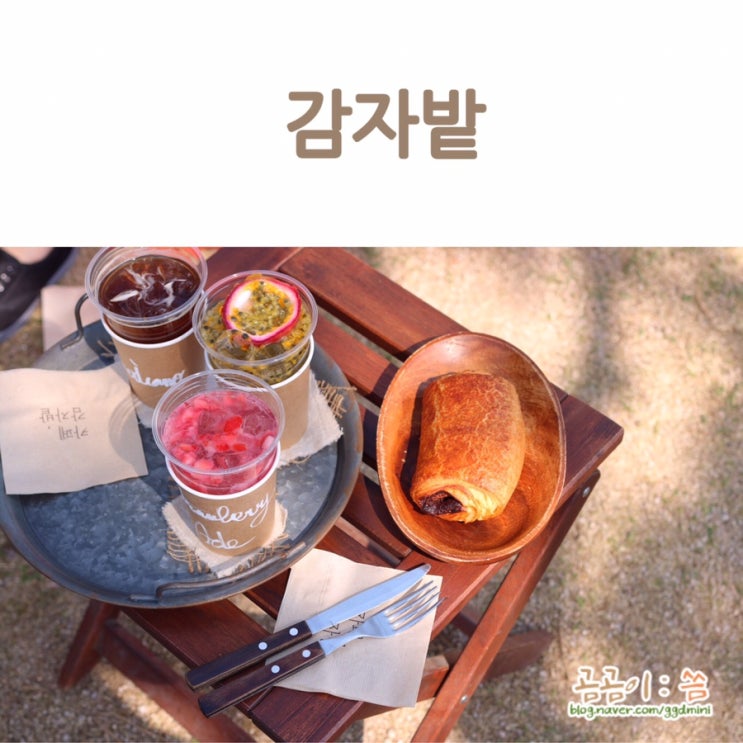  춘천 카페 요즘 날씨에 다녀오기 딱 좋은 감자밭