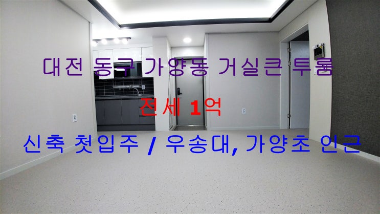  (대전 동구 가양동) 우송대학교, 가양초등학교 인근에 위치한 전세 1억 신축 투룸이에요 ~ ^^