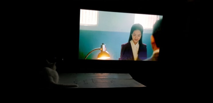  MBC  이몽 시청중인 냥아치