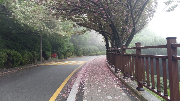  2019년도 부산학 아카데미 시작합니다. 그리고 부산중앙도서관은 지금