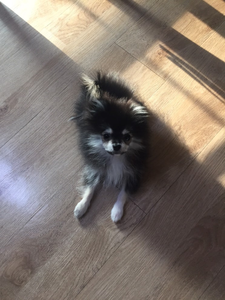  시험 끝