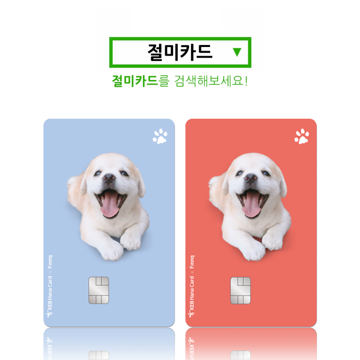  유병재카드 절미카드 한정판 핀크카드 발급받고 유기동물후원하자