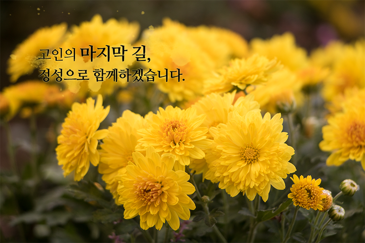  가족수목장 비용 보다 위치와 안전성을