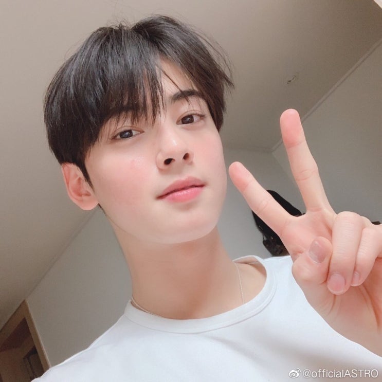  짐승일기