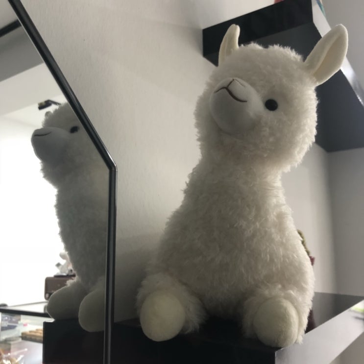  4/30-5/4 일상
