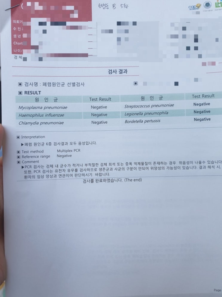  열없는 폐렴(메타뉴모,보카 바이러스)