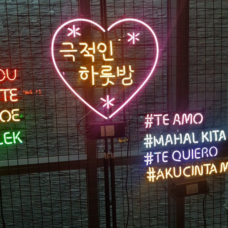  혜화 연극 / 다이어트 일기 / 내셔널지오그래픽 캐리어