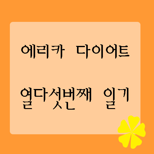  에리카다이어터 - 다이어트는 항상 ing