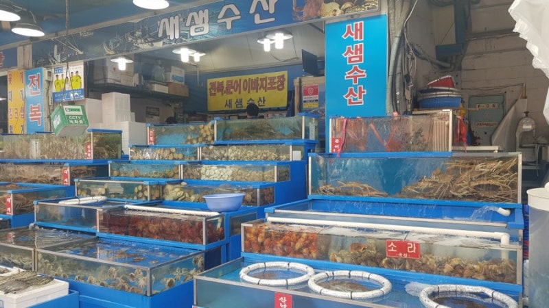 구리농수산물도매시장 문어랑 횟감 포장하기!! 저렴해~♡ 구리농수산물도매시장 문어랑 횟감 포장하기!! 저렴해~♡