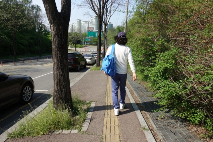  서울 가볼만한곳 상암 하늘공원 계단 오르기 운동효과