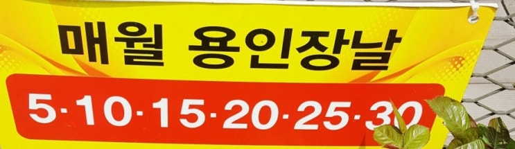 매월 5일 용인 장날- 어린이날나들이 알찬장터구경