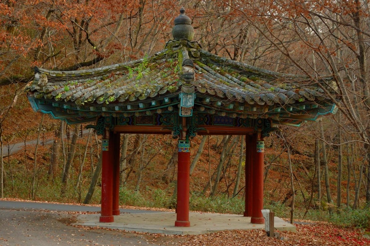  경남 합천 해인사 방문후 하행하는 모습