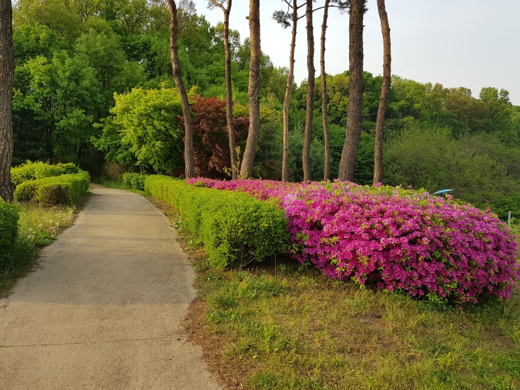  낮에 동네한바퀴 저녁에 응답하라 1988 휴일 일상