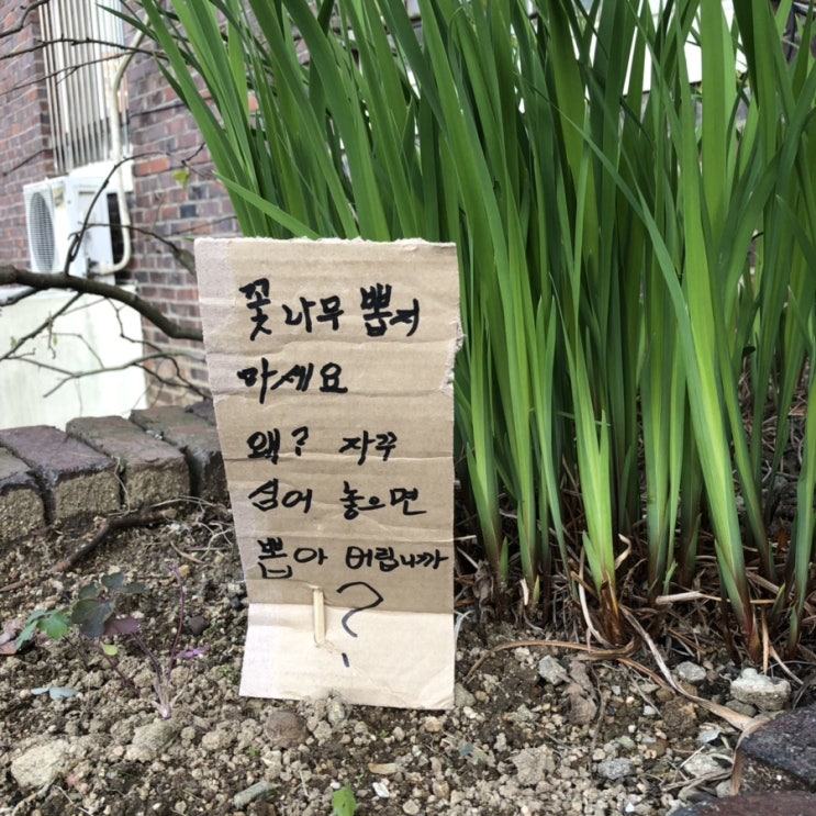  멜랑꼴리