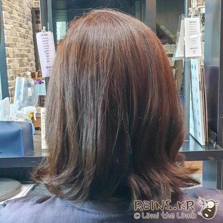 신도림역 미용실 보그헤어(VOG hair)에서 훈 디자이너께 무코타 클리닉&드라이 받았어요