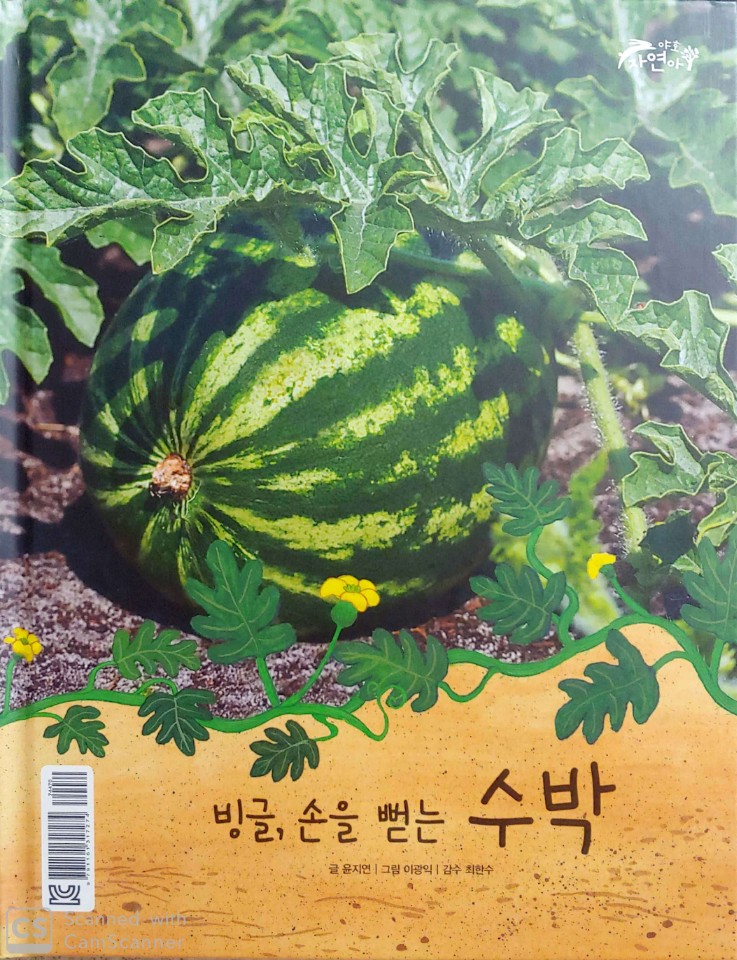  독전독후 [빙글, 손을 뻗는 수박 빙글, 올라가는 나팔꽃]